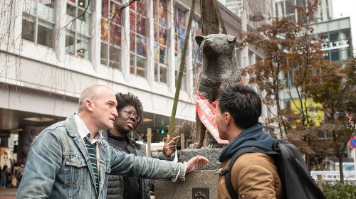 Tokyo Top 10 Highlights & Hidden Gems Private Tour with a Local Day Tours