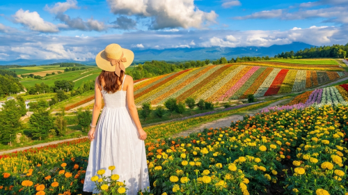 Furano Patchwork Road, Farm Tomita, Panoramic Flower Gardens Shikisai-no-oka Summer Limited Flower Fields Day Tour in Hokkaido Day Tours