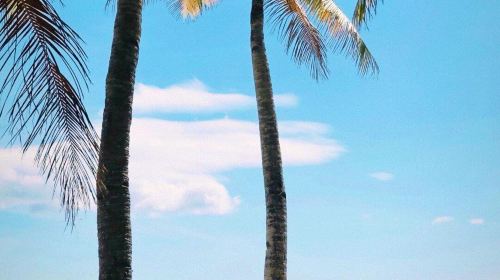 1-day tour to Puka Beach & Coral Garden in Boracay Island, Philippines – BBQ Lunch