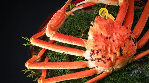 [Echizen Crab · Japanese Private Dining Room Ryugetsutei] [Reservation Only] Echizen Crab Package - Choose One of Three Dining Vouchers