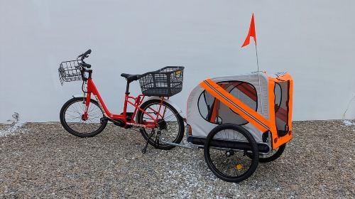 Sun Moon Lake Bike & E-vehicle Rentals with Optional Boat Ticket