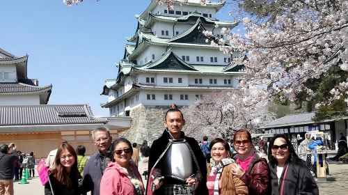 Nagoya Samurai & Toyota Tour guided by a friendly local Day Tours