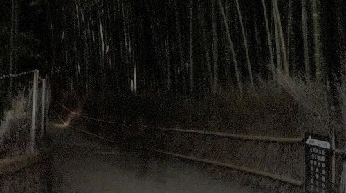 Kyoto Ghost Tour: Dark Tales, Urban Legends, Bamboo Forest Night Day Tours