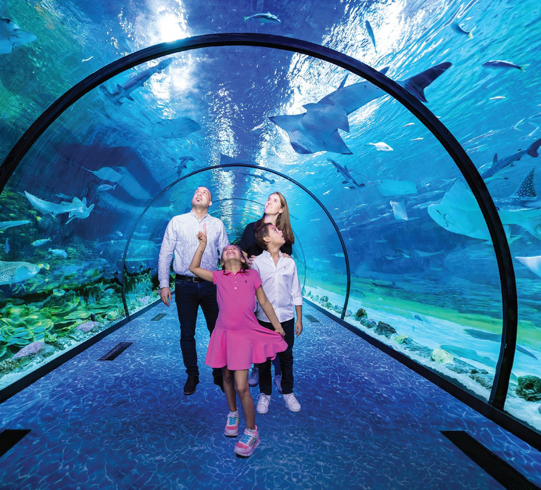 National Aquarium & Adrenark Adventure Combo Ticket
