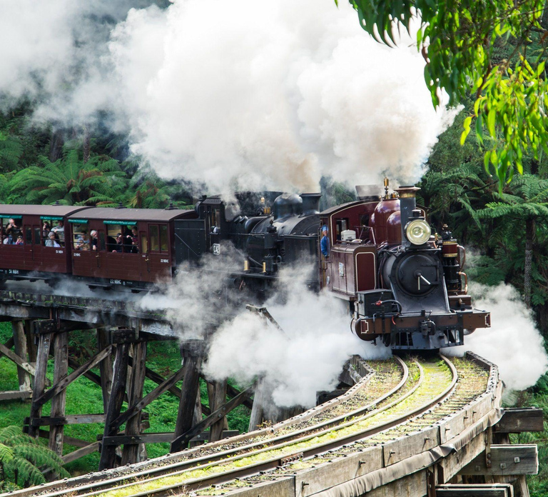 From Melbourne: Puffing Billy and Penguin Parade Combo Tour