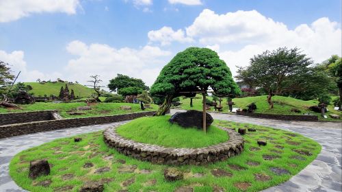 Spirited Garden