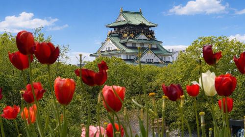 Walking Osaka in 4 Hours: Highlights, Castle, Dotonbori and more Day Tours