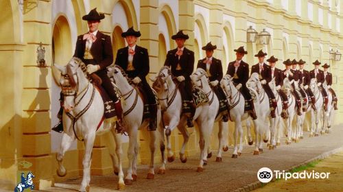 Royal Andalusian School of Equestrian Art