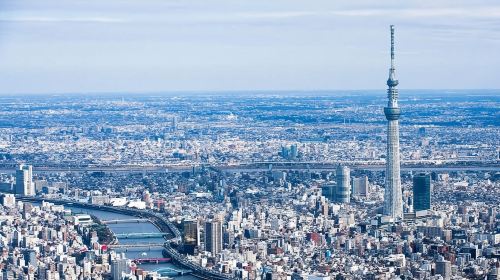 Tokyo Private Tour by Car with English speaking driver Day Tours