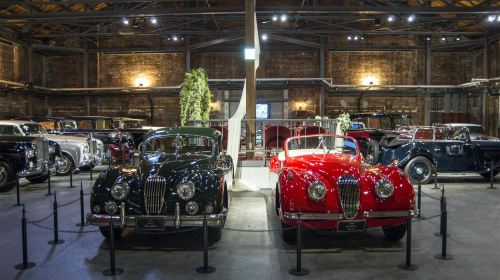 G-LION MUSEUM