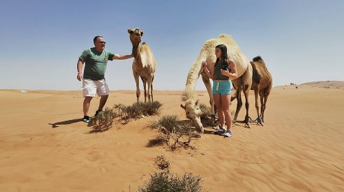 Morning Adventure Safari: CamelTrek QuadBike Sandboard Falcon Pic Day Tours