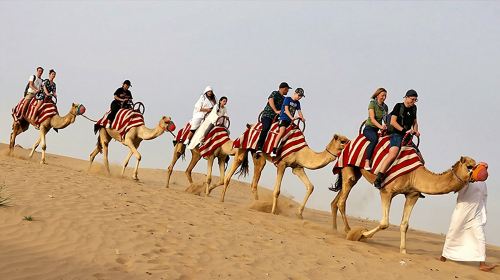 Abu Dhabi Al Khayma Seahorse Morning Dune Bashing Experience Day Tours