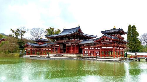Nara Park + Uji relaxing cultural healing one-day tour [4-9 person premium small group with optional pick-up]