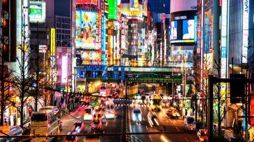 Explore Tokyo with Customizable Itinerary - Private Tour Day Tours