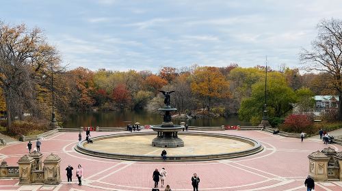 Central Park Pedicab Tour ( starting - Natural History Museum ) Day Tours
