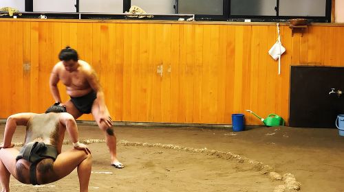 Watch Sumo Morning Practice at Stable in Tokyo Day Tours