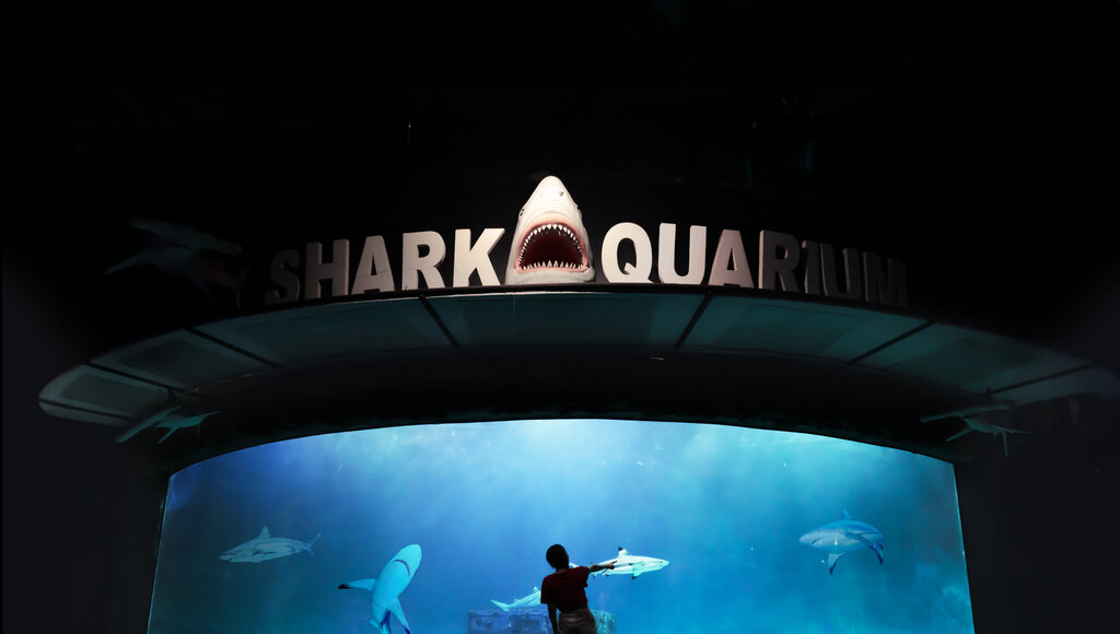 Sea World Ancol