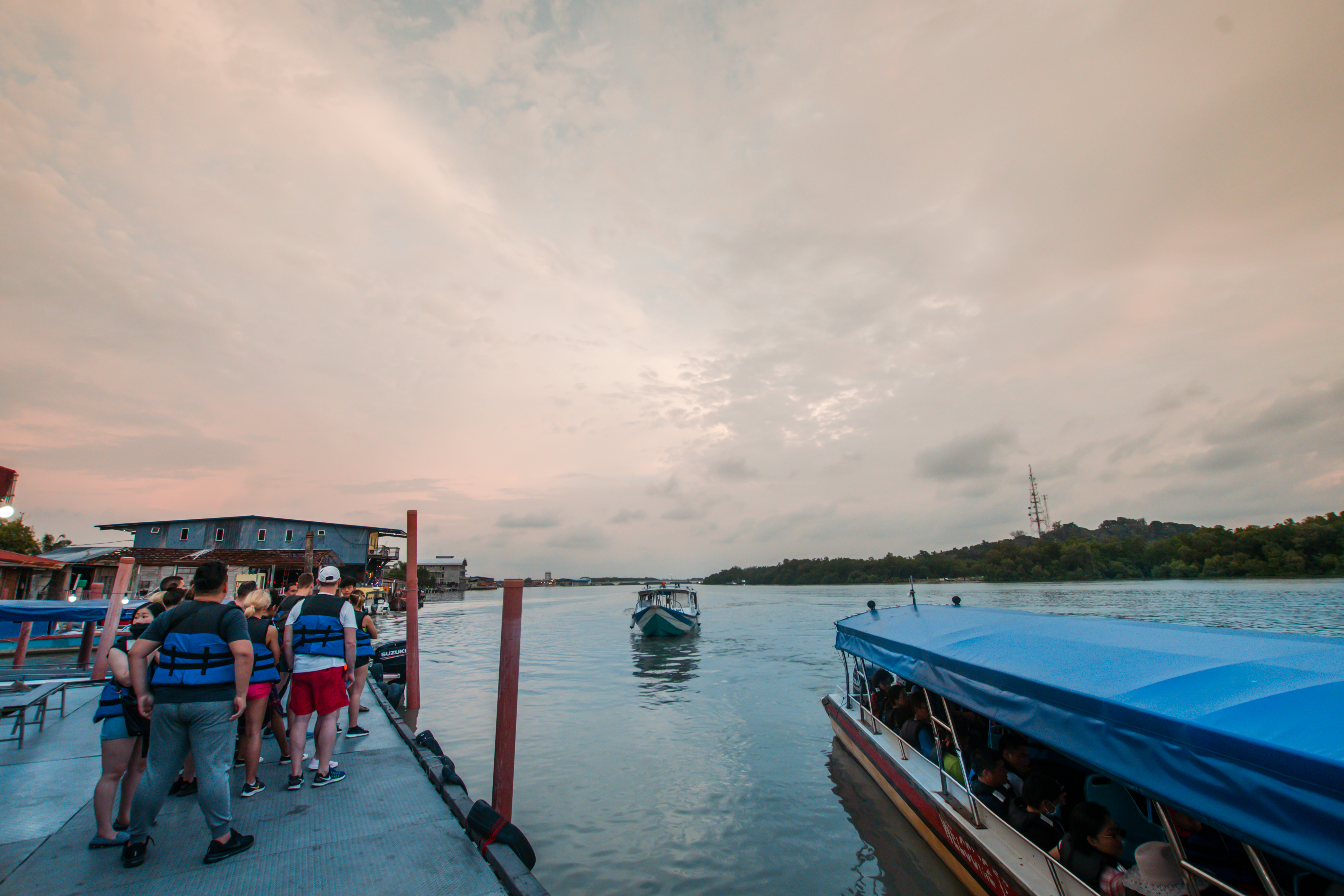 Fireflies Tour with Blue Tears Watching, Eagle Feeding and Seafood Dinner
