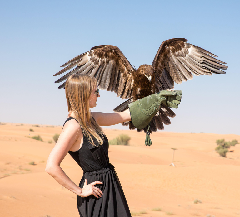 Dubai: Family Friendly Desert Tour & Flamingo Lake Option