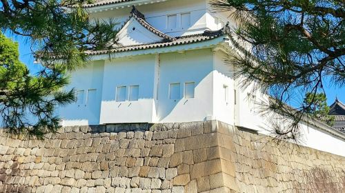 Kyoto Imperial Palace & Nijo Castle: Guided Walking Tour Day Tours