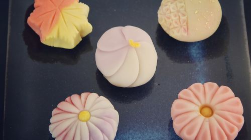 Make Traditional Nerikiri Sweets & Matcha experience in Shibuya