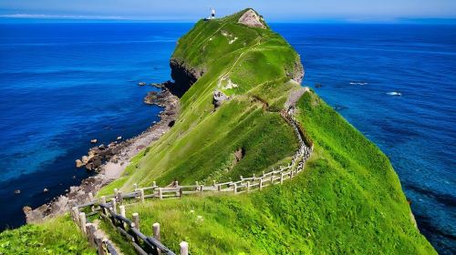 Hokkaido (Sapporo) Cape Kamui + Otaru Canal + Shiroi Koibito Park Day Tour Day Tours