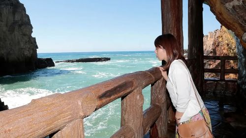 1-day tour to Shirahama beach in Wakayama – Seafood market