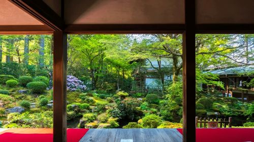 1-day tour of Kyoto's Arashiyama, Sanzen-in, and Bamboo Forest Path Day Tours