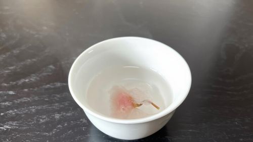 Tea Ceremony Workshop in Tokyo by the Official Instructor