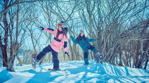 Shiga Biwako Valley Ski Day Tour (From Osaka, Basic Group Lesson) Day Tours