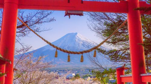 One-Day Fuji Mountain Hot Spring Tour Day Tours