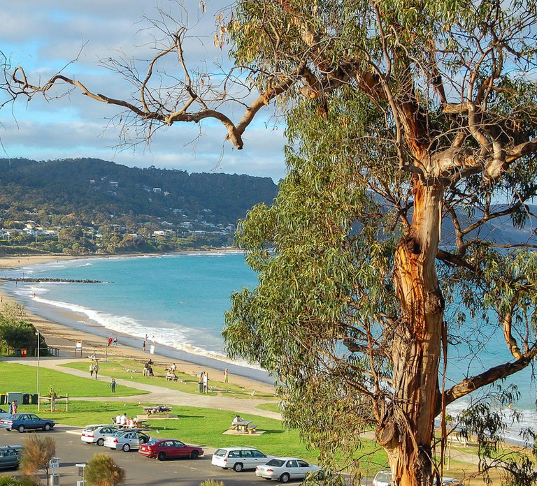 Melbourne: Great Ocean Road & Iconic Coastal Views Day Tour