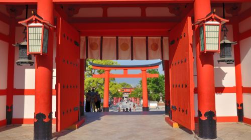 Kyoto in a Day: The Ultimate Top 4 Highlights Tour (From Osaka/Kyoto) Day Tours