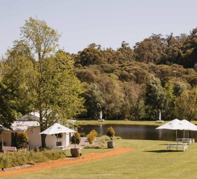 Pemberton: Ampersand Estates Wine Tasting Experience