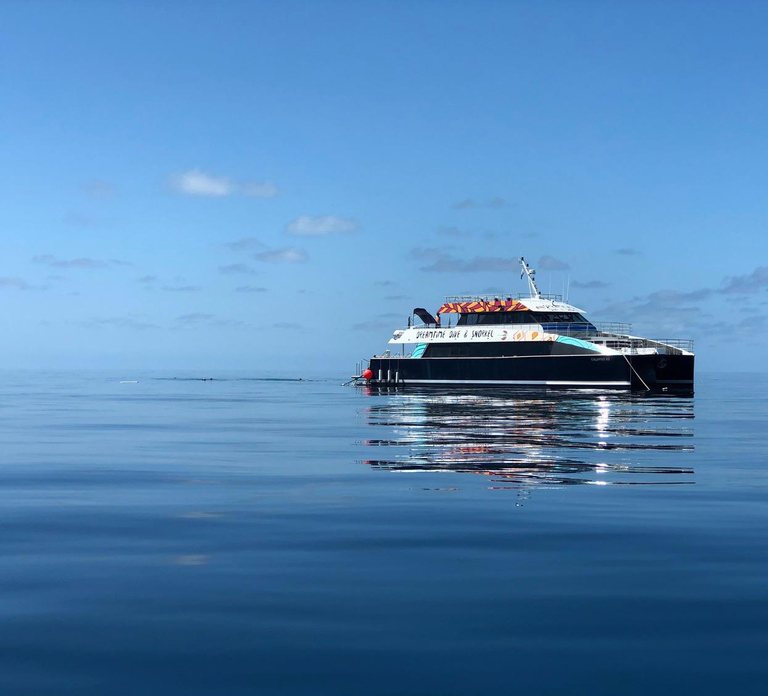Cairns: Great Barrier Reef Snorkeling Cruise with Lunch
