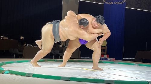 Up-Close Sumo Experience at Ochi Stable: Wear Kimono in Osaka