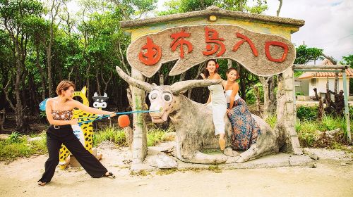 Okinawa Iriomote SUP or Canoe and Sightseeing in Yubujima Island