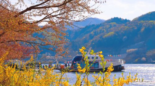 Nami Island + Gangchon Railbike + The Garden of Morning Calm One Day Tour