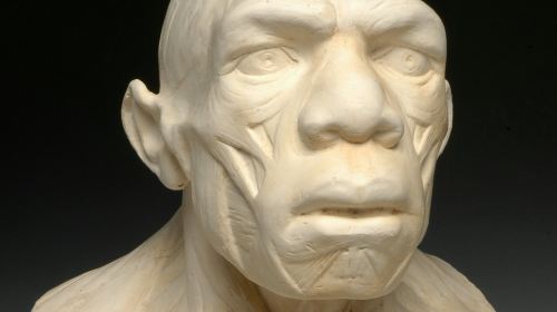 Musée de l'Homme: Skip The Line Ticket Adult