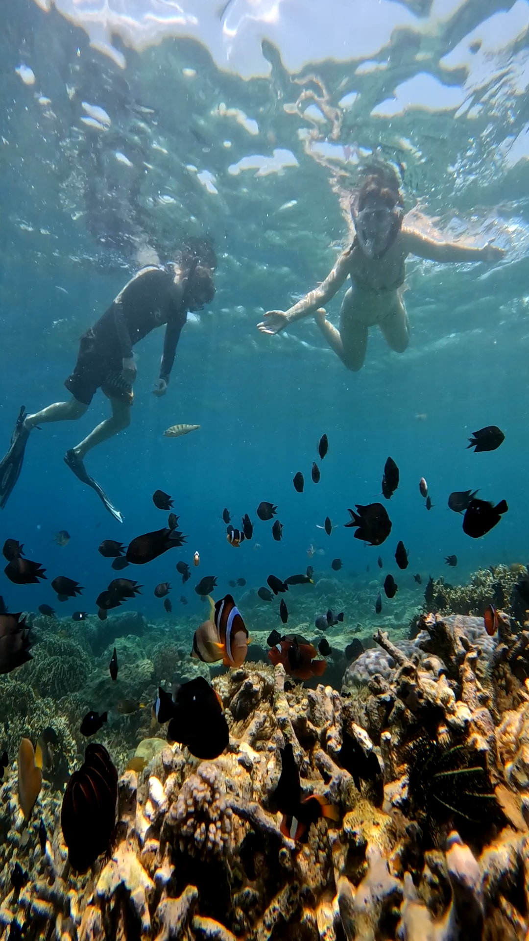 Secrate Island Private Snorkling Tour in lombok with go pro