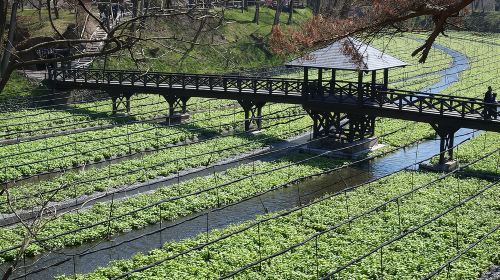 Matsumoto Private One Day Tour from Nagano Day Tours