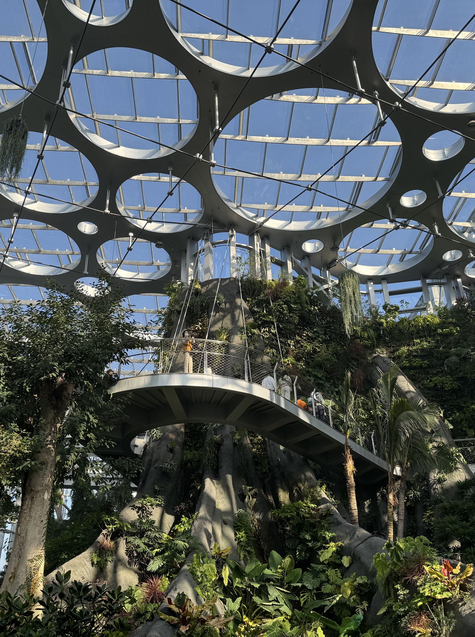 Shanghai Greenhouse Garden Adult Ticket ( Asia's Largest Glass Greenhouse)