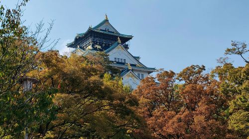 Ultimate Osaka Walking Tour: Castle, Dotonbori, Gems & Lunch Day Tours