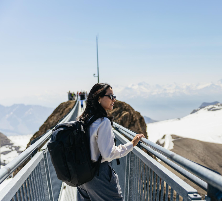 Geneva: Glacier 3000 - High Level Experience and Montreux