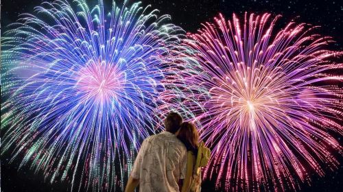 Tokyo Atami Sea Fireworks Tour Day Tours