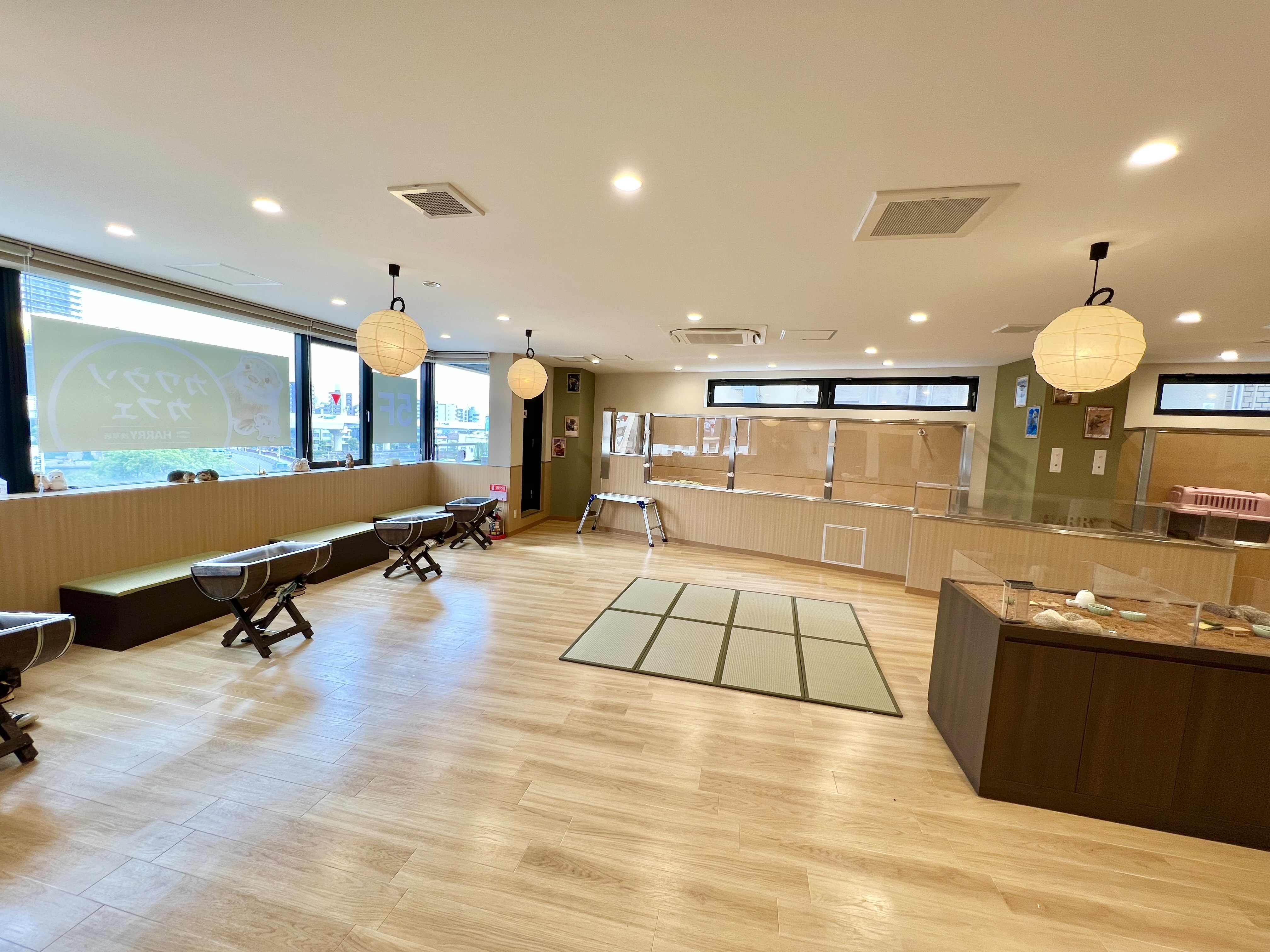 Experience London skyline 9