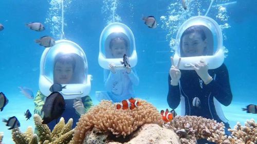 Water activities in Boracay – Underwater walking/parasailing/jet ski/banana boat/UFO