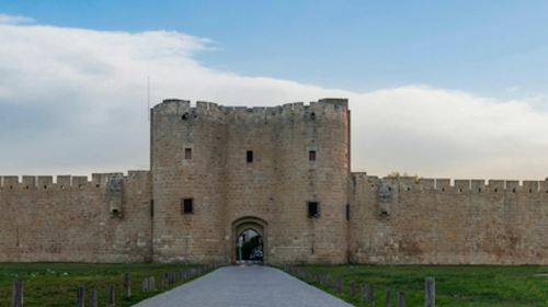 Tours et Remparts d'Aigues-Mortes: Entry Ticket Adult