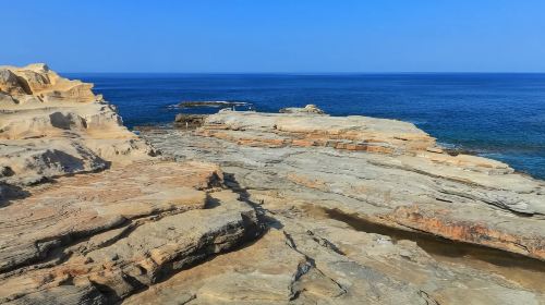 1-day tour to Shirahama beach in Wakayama – Seafood market