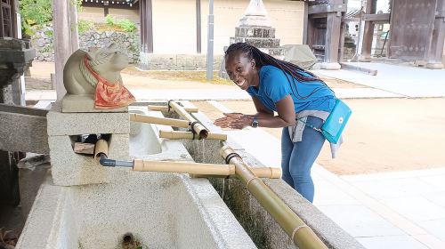Full-Day Sightseeing to Kyoto Highlights Day Tours
